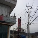 시골한우촌 이미지