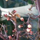 웰부동산중개사무소 이미지