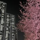 동삼스파게티 네이버블로그