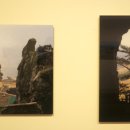 포토갤러리자연사랑미술관 이미지