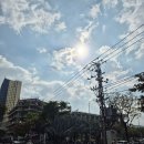 엔조이 | 다낭 반쎄오 최강 맛집 포즈앤엔조이 내돈내산 (다도에 후기 많이 올라오는 이유) 후기