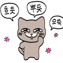 묘리깡 이미지