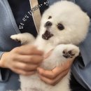 연산동물의료센터 이미지