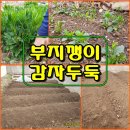 두둑
