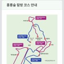 세종대왕기념관 티스토리