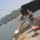 k1한국바다낚시터 이미지