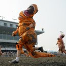 (주)티렉스 이미지