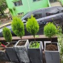 상아약국 이미지