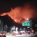 양구남면인력