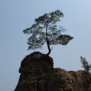 불루모아 이미지