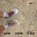 에스랩 (S´LAB) | S/LAB GENESIS 에스랩 제네시스