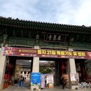 감귤향기 이미지