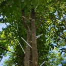 김일농장 이미지