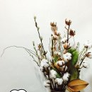 목화헤어샵 이미지