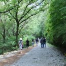 가마골(화산) 이미지