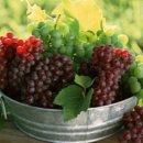 성경약국 이미지