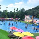 도그베이 이미지