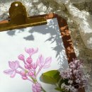 꽃과 식물그림 보타니컬 아트 이미지