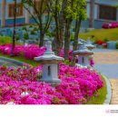화랑마을