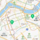 도그마루 강아지고양이 서초강남점 이미지