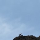 포유모텔 | [몽골 7박8일 고비사막 패키지] Day5 몽골 최애 여행지 욜링암 + 욜링암 낙타인형