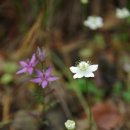 원동재로 이미지