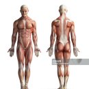 아르더짐 이미지