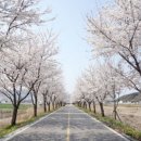 거창공설시장 주차장 이미지