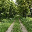 신길공원 이미지