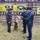 노일호 특수목적견 이미지