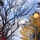 유창한의원 이미지