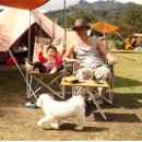 애견가족 이미지