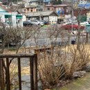 카페보리 이미지