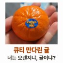 큐티 | 큐티 만다린 귤 후기 : 은은한 단 맛의 고급진 맛
