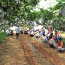 김영천 농장 이미지