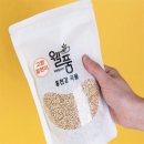 고향몰