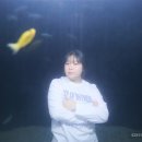 코코사진관 - 원주시 천매봉길 17 | 코코사진관