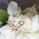 라온제나 이미지