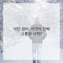 바디메이커 네이버블로그