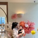 카페라운지 - 광주시 도척윗로 278 | 대전 구암동 모닝트리 로스터리 수프림 라운지 | 아이랑 가기 좋은 호텔라운지카페 후기