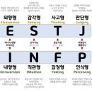 힐링타로카페