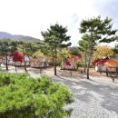 리즈밸리 이미지