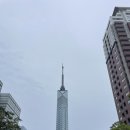[4박5일] 후쿠오카 :: 셋째 날 오후2 - 후쿠오카 타워, 텐진 호르몬 후기