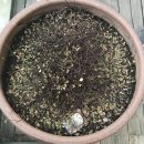 이발하기좋은날 이미지