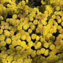 미주호스텔 이미지