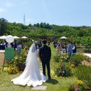 종가집출장뷔페 이미지