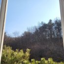 경주 깅고하우스 자전거 산책 가족여행 후기