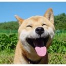 희동이네 이미지