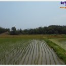주식회사 용문 이미지