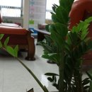 행정사권혁철사무소 이미지